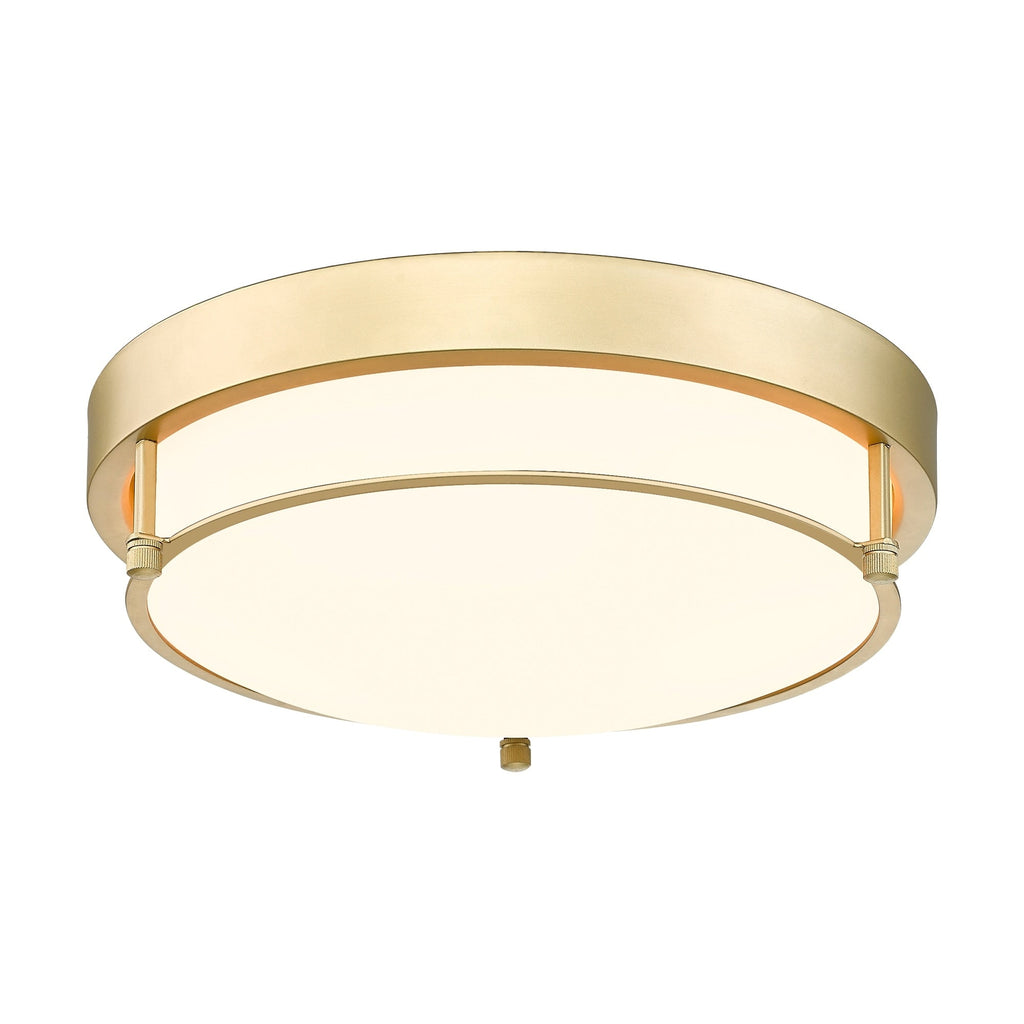 Plafonnier moderne à 2 lumières et 12 pouces