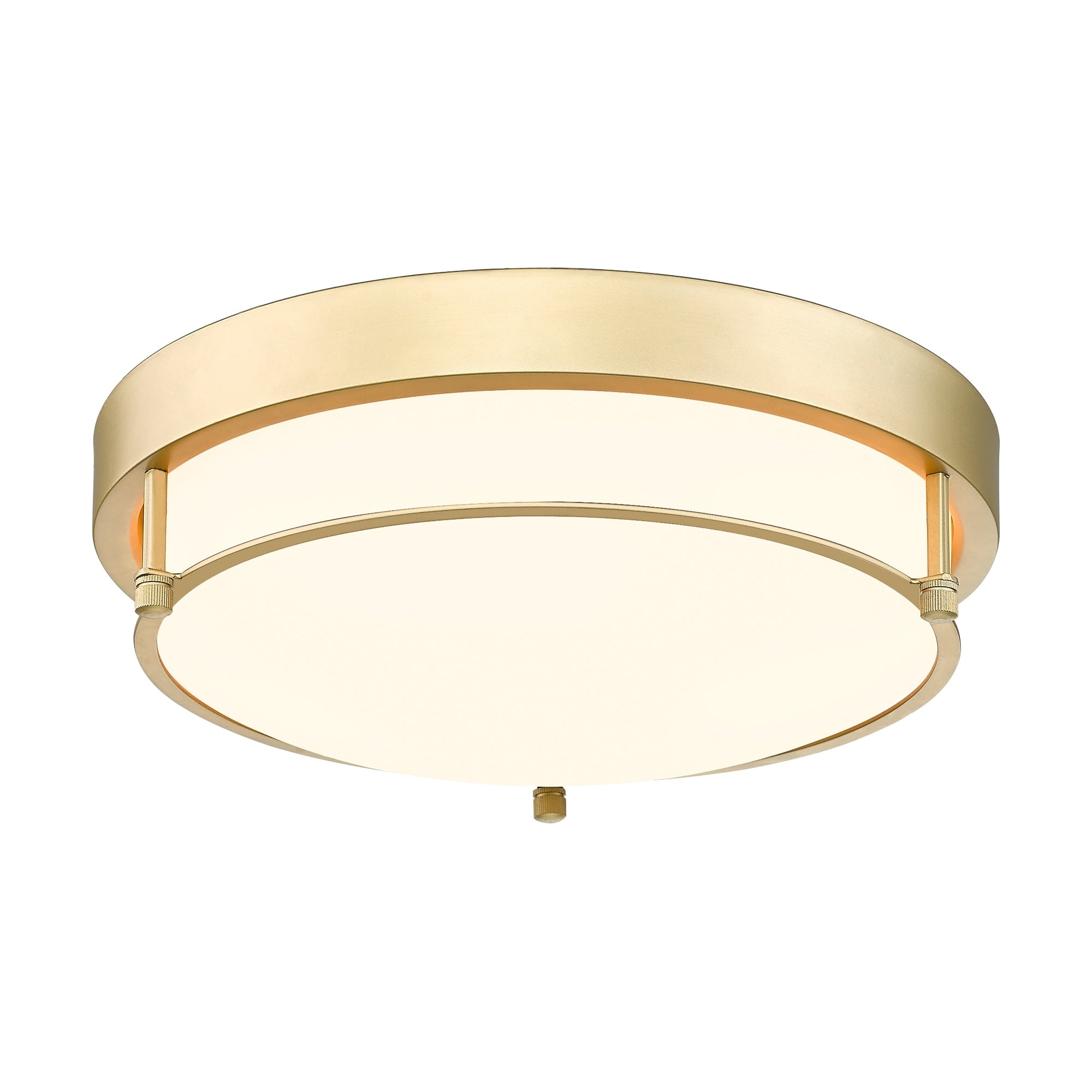 Plafonnier moderne à 2 lumières et 12 pouces