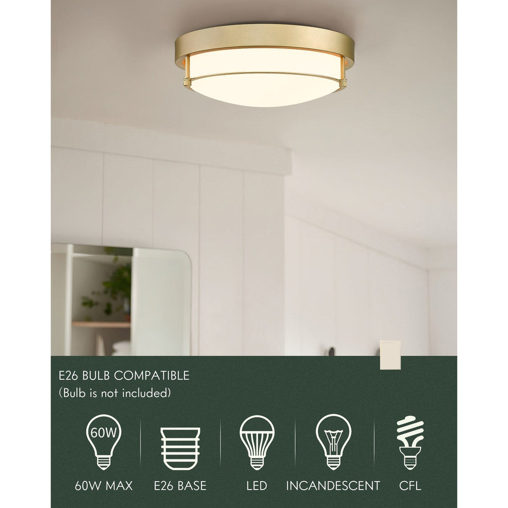 Plafonnier moderne à 2 lumières et 12 pouces