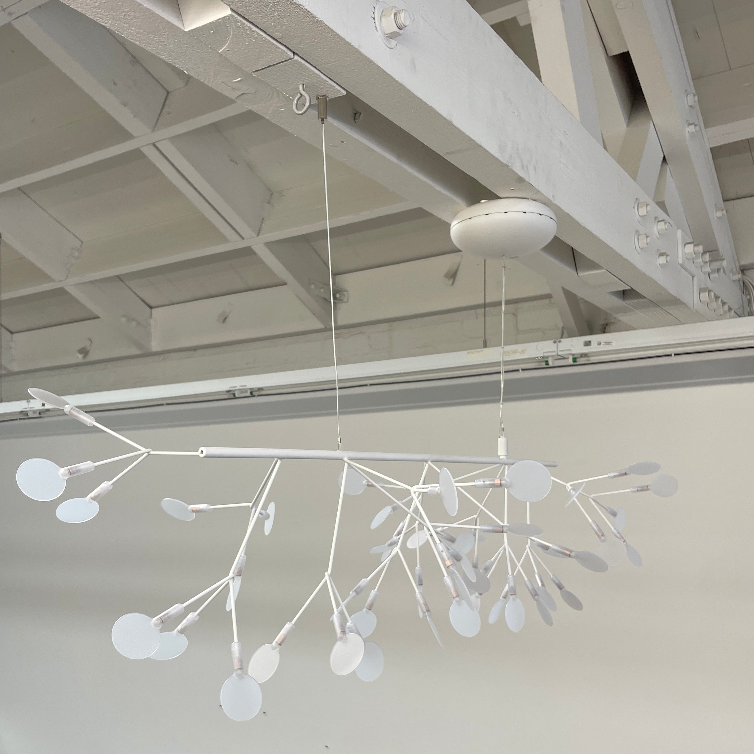 Suspension LED sans fin Moooi Heracleum - Blanc